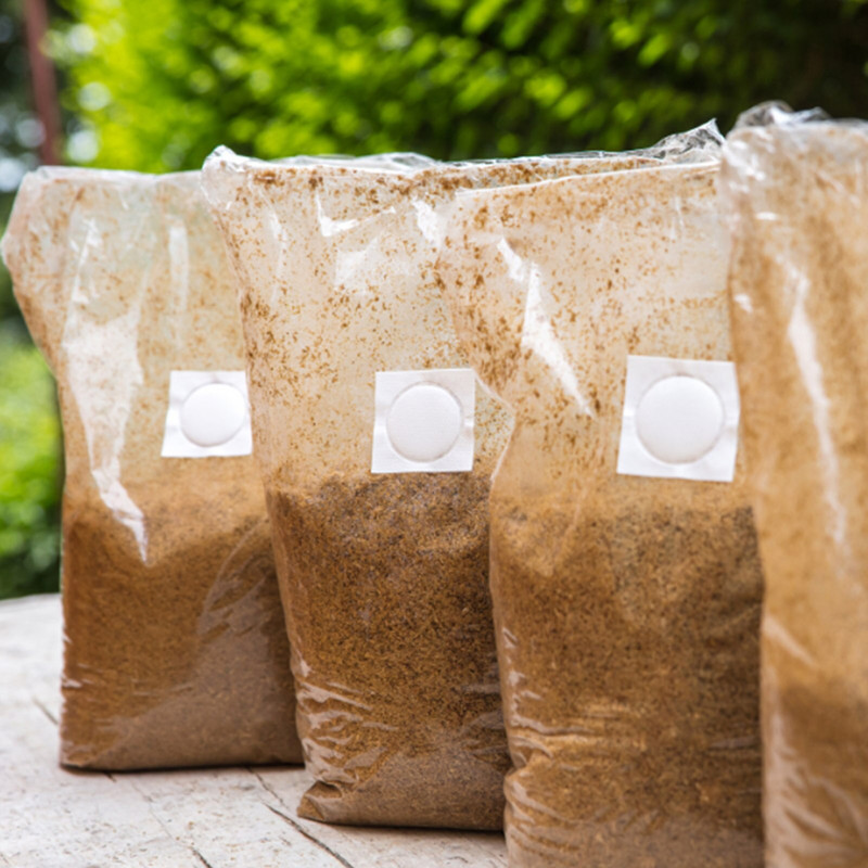 Ilgaamžiai grybų auginimo maišeliai Grybų auginimo maišeliai Grybų auginimo reikmenys Grybų maišelių rinkinys sodo kiemo vejai Dovanos