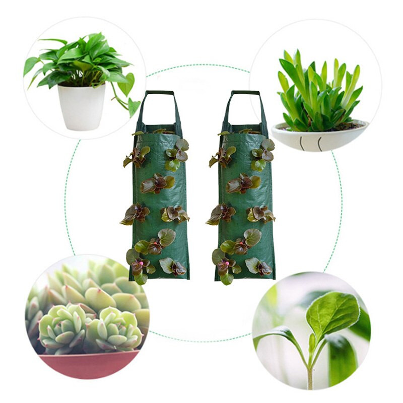 Sodo braškių auginimo maišeliai Šiltnamis