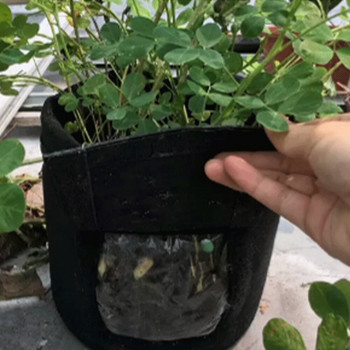 Τσάντες καλλιέργειας φυτών 3 μεγεθών από τσόχα Μη υφασμένο ύφασμα Γλάστρα κήπου πατάτας θερμοκηπίου Τσάντες καλλιέργειας λαχανικών Ενυδατικά κάθετα εργαλεία