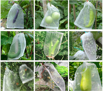 50/100 τμχ Grapes Garden Mesh τσάντες Τσάντες προστασίας φρούτων Γεωργικός οπωρώνας Αντιμετώπιση παρασίτων κατά των πουλιών Σάκοι λαχανικών