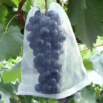 50/100 τμχ Grapes Garden Mesh τσάντες Τσάντες προστασίας φρούτων Γεωργικός οπωρώνας Αντιμετώπιση παρασίτων κατά των πουλιών Σάκοι λαχανικών