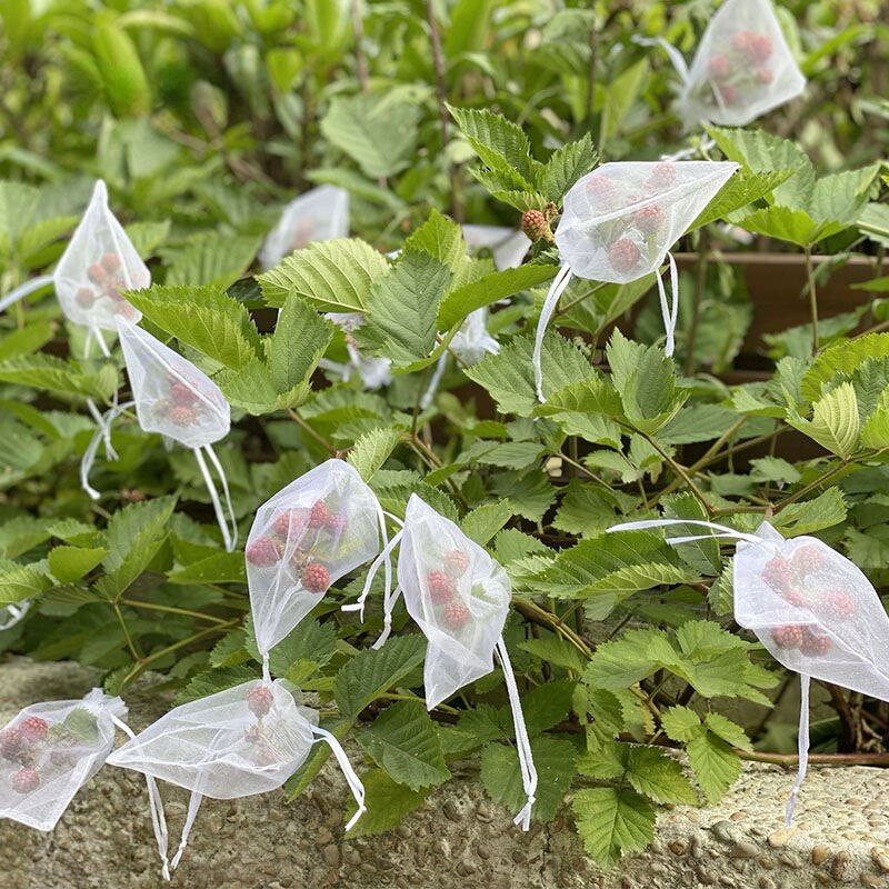 50/100 τμχ Grapes Garden Mesh τσάντες Τσάντες προστασίας φρούτων Γεωργικός οπωρώνας Αντιμετώπιση παρασίτων κατά των πουλιών Σάκοι λαχανικών