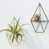 Suport pentru plante agățat Tillandsia Air Suport pentru plante metal geometric din fier Artă rustică de jardiniere de flori ghiveci Suport pentru plante pentru grădinărit acasă