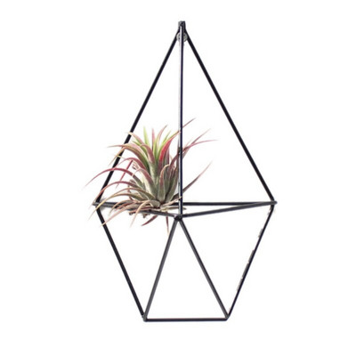 Suport pentru plante agățat Tillandsia Air Suport pentru plante metal geometric din fier Artă rustică de jardiniere de flori ghiveci Suport pentru plante pentru grădinărit acasă