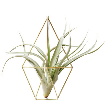 Suport pentru plante agățat Tillandsia Air Suport pentru plante metal geometric din fier Artă rustică de jardiniere de flori ghiveci Suport pentru plante pentru grădinărit acasă