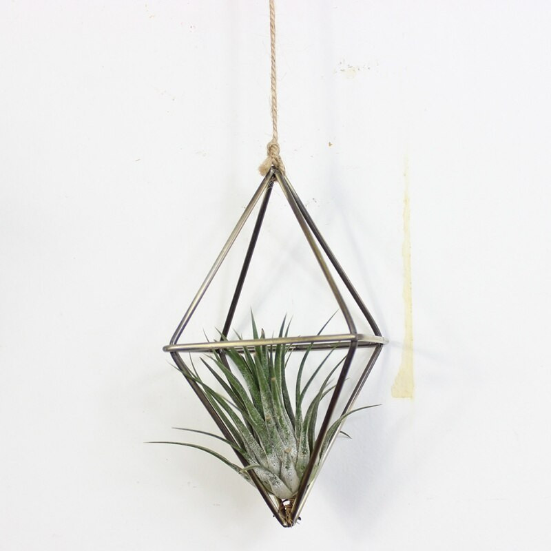 Suport pentru plante agățat Tillandsia Air Suport pentru plante metal geometric din fier Artă rustică de jardiniere de flori ghiveci Suport pentru plante pentru grădinărit acasă