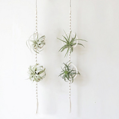 Bohemian Decor Κρεμάστρα Air Plant Εσωτερική βάση μακραμέ τοίχου Ταπετσαρία κρεμαστά Spanish Moss Tillandsia Usneoides Διακόσμηση κρεβατοκάμαρας