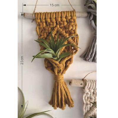 Különböző színű Makramé levegős növénytartó Boho stílusú pamut kézi szövésű függő ültetőgép lakberendezéshez Nappali dekoráció