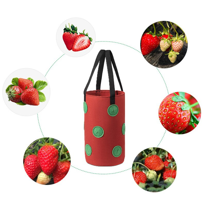 Sac de plantare de căpșuni agățat de grădină cu coș de cultivare durabil, nețesut, nedeformat, cu 12 găuri, pentru plantarea ardeiului