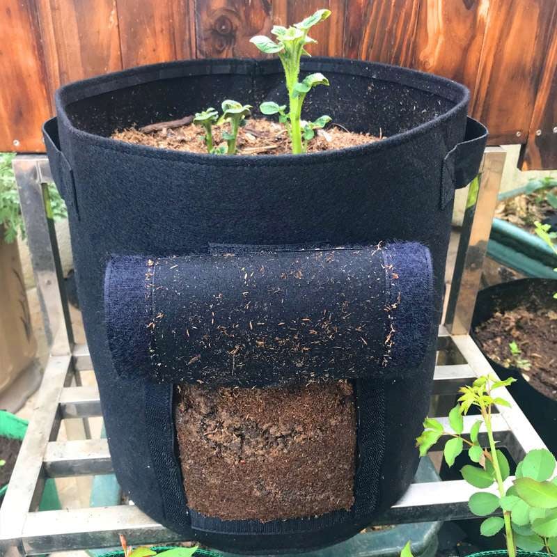 3 dydžio sodinimo maišelis neaustinis audinys, sutirštintas gražus sodinimo maišelis Saldžiųjų bulvių bulvių sėklų braškių sodinimo krepšys