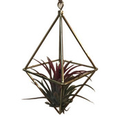 Suport pentru plante de aer Tillandsia suspendat, metal, geometric, artă de fier, jardinier de flori rustic, ghiveci, suport pentru plante pentru grădină de casă
