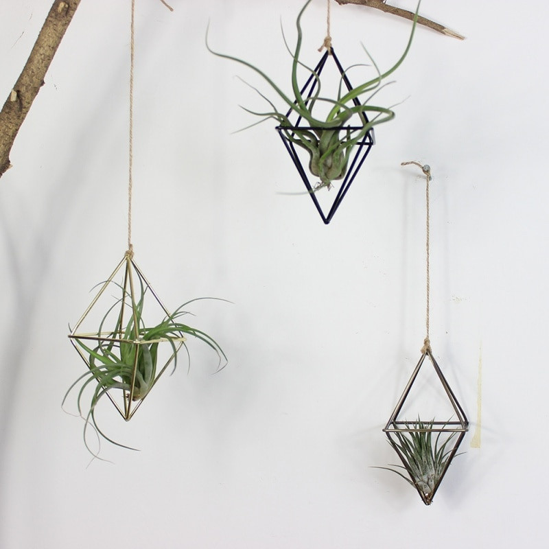 Suport pentru plante de aer Tillandsia suspendat, metal, geometric, artă de fier, jardinier de flori rustic, ghiveci, suport pentru plante pentru grădină de casă