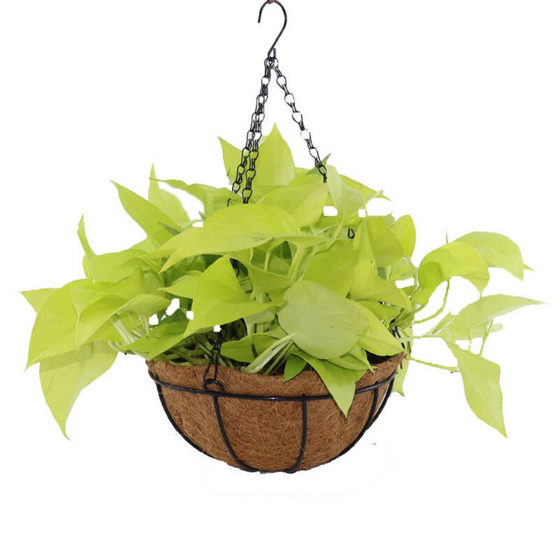 Jardinieră pentru coș suspendat de 8/10 inci Coș de flori suspendat din metal, căptușeală din nucă de cocos naturală, Suport pentru flori din sârmă, Umeraș pentru ghivece