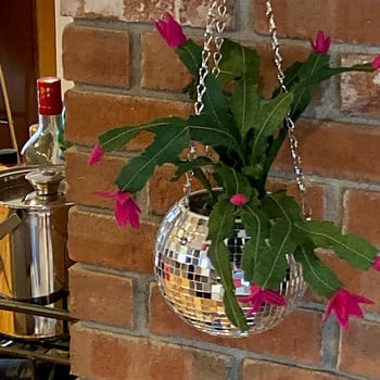 Диско топка Висяща саксия за цветя за стайни растения Саксии за цветя в бохемски стил Въже Огледало Висяща кошница Градински декор Ваза