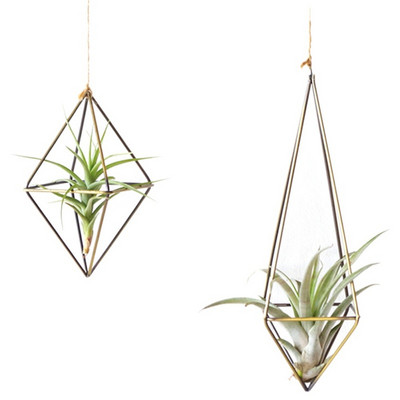 Επιτοίχια ανεξάρτητη κρεμαστή Tillandsia Air Plants Rack Ρουστίκ μεταλλικό σίδηρο σφυρήλατο γεωμετρικό αεροπλάνο