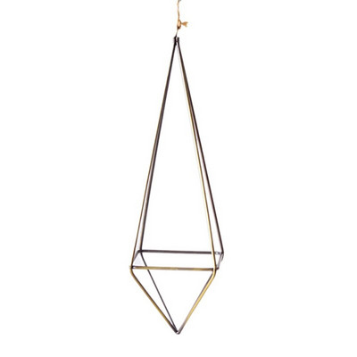 Seinale eraldiseisev rippuv Tillandsia õhutaimede nagi maalähedane metallist rauast sepistatud geomeetriline õhutaimehoidja