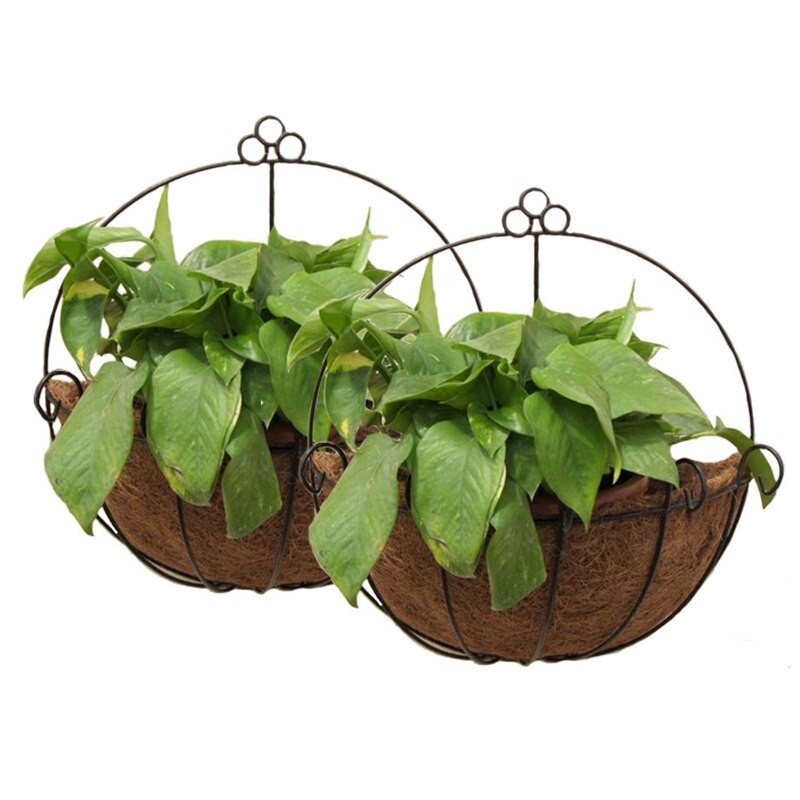 4 bucăți de fier pentru agățat pe perete gentleman coș 25 cm semi-circular plantă flori agățat perete suport pentru plante decorare