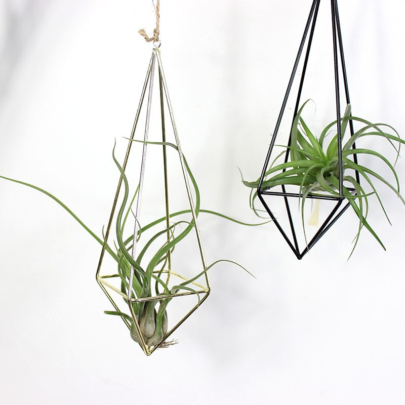 1PC Jardiniere suspendate Suport pentru flori de fier Suport geometric Suport pentru plante de aer de înaltă calitate Ghiveci creativ pentru flori