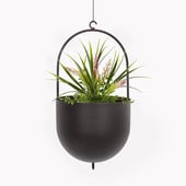 Modernus gėlių vazonas Paprastas pakabinamas vazono krepšelis Apvalus žalias sultingas kaltinis krapas, geležies apskritas balkono interjero dekoravimas