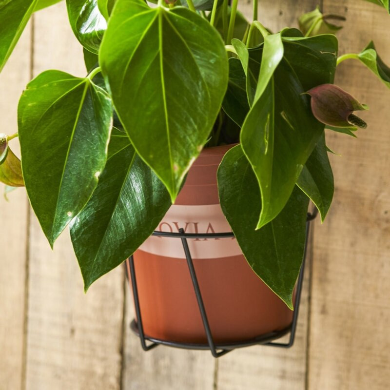 Raudkunsti rippkorvi lillepotihoidik üle rööpaaia istutusriidepuud siseõue rõdule