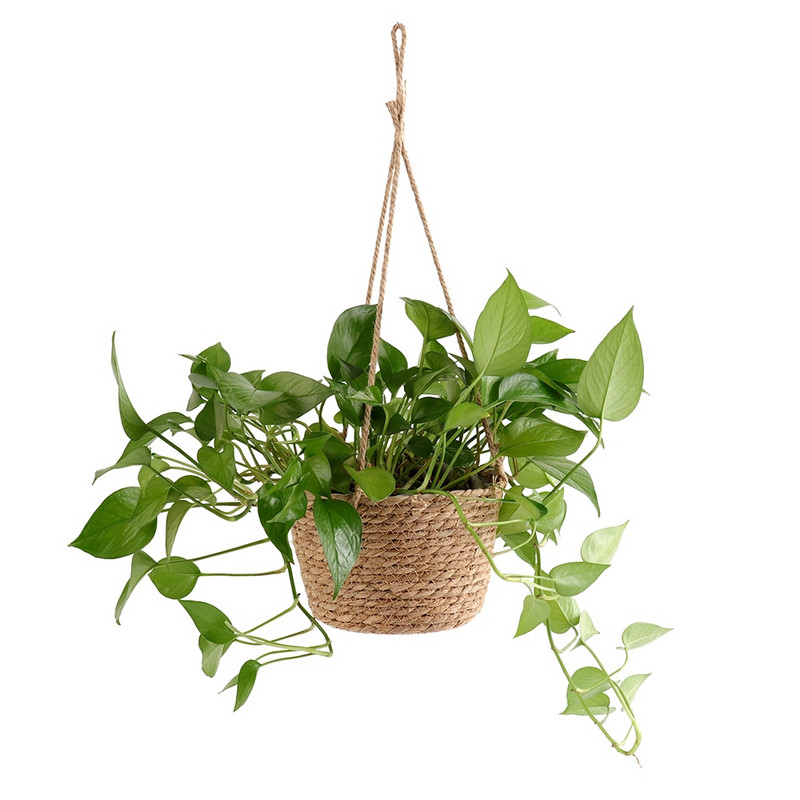 Jardinieră agățată din frânghie de iută Coș de depozitare pentru plante țesute pentru interior, exterior, ghiveci, umerașe pentru plante de macrame Decor modern pentru casă