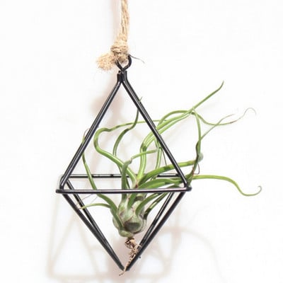 2 Χρώματα Κρεμαστά Tillandsia Air Plants Ράφι Μεταλλική γεωμετρική σιδερένια γλάστρα Γλαστράκια τέχνης Αξεσουάρ κηπουρικής Διακόσμηση γραφείου σπιτιού