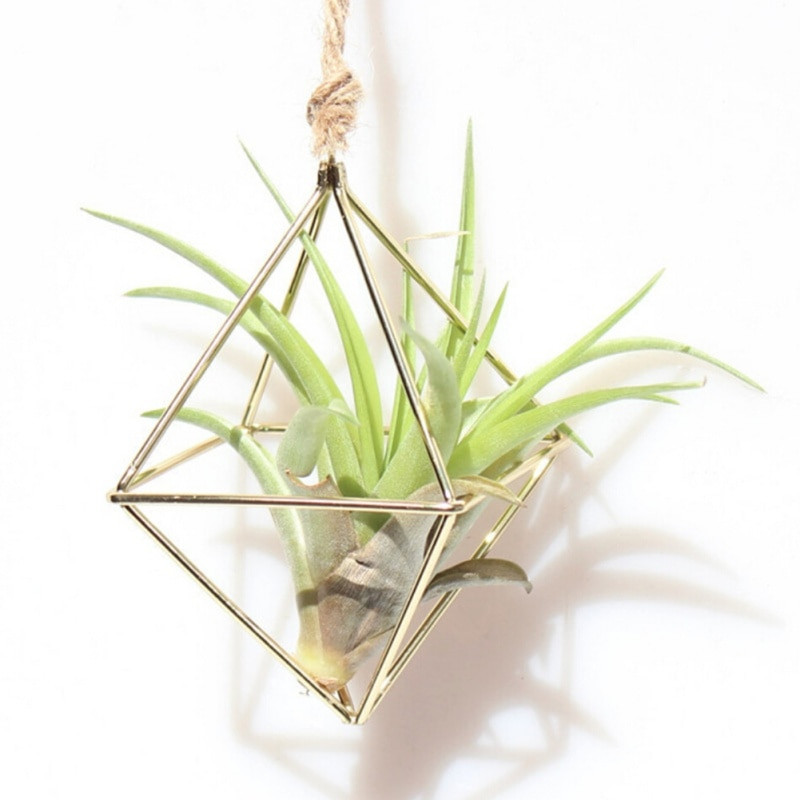 2 szín Függő Tillandsia Air Plants Rack Fém Geometrikus Vas Művészet Virágcserép Kertészeti Kiegészítők Otthoni irodai dekoráció