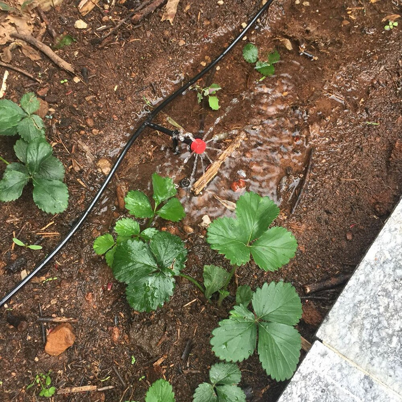 50-200PCS Градински регулируеми дюзи Капково напояване Поливане Спринклер 1/4`` Противозапушващ капкообразен излъчвател Цветни лехи Зеленчук