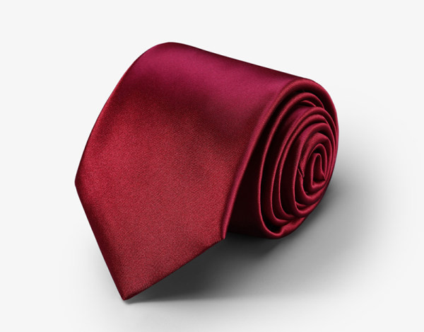 Svinīga vīriešu kaklasaite ar izšuvumu