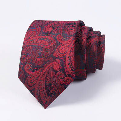 Vīriešu formāla kaklasaite ar apdruku