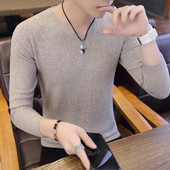 Jesenska muška bluza s V izrezom