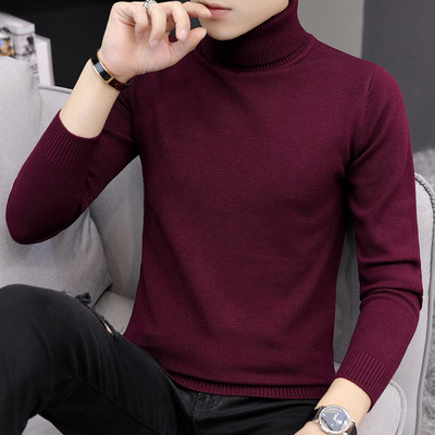 Ανδρικό πουλόβερ φθινοπώρου-χειμώνα με μακριά μανίκια και γιακά πόλο