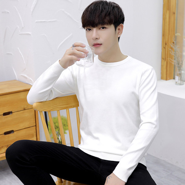 Rudens vīriešu džemperis - tīrs modelis