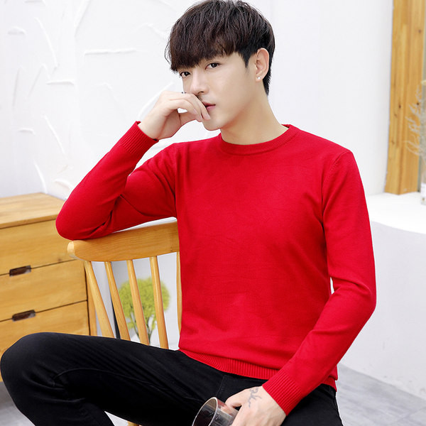 Rudens vīriešu džemperis - tīrs modelis