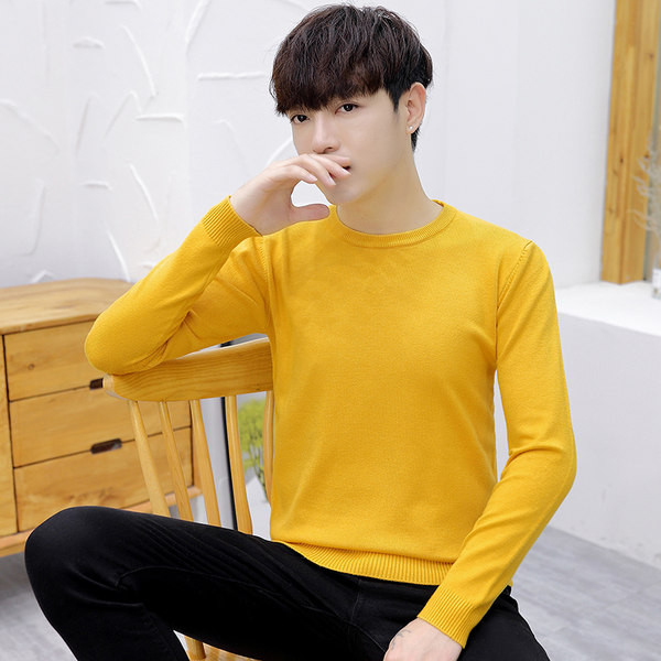 Rudens vīriešu džemperis - tīrs modelis