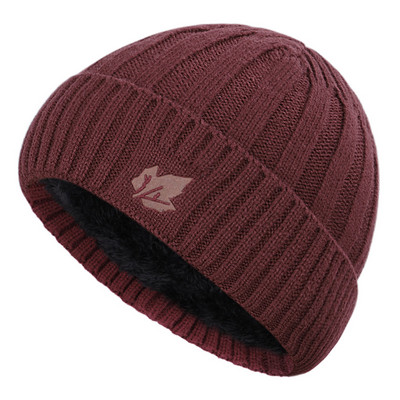 Vīriešu ziemas cepure ar logo, jauns modelis