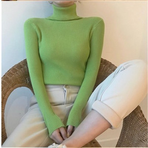 Sieviešu džemperi ar bruņurupuci