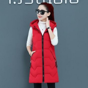 Γυναικείο γιλέκο Brieuces Χειμερινό τζάκετ Παλτό με κουκούλα Ζεστό καθημερινό βαμβακερό γιλέκο Γυναικείο λεπτό αμάνικο γιλέκο