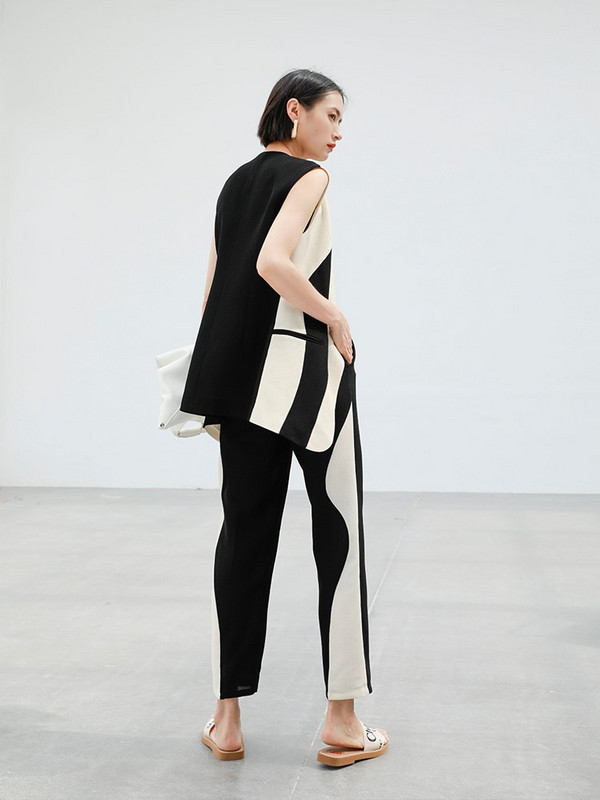 [EAM] Sieviešu brīvi pieguļoši melna krāsa bloka neregulāra ikdienas veste Jauna V veida apkakle bez piedurknēm modes plūdmaiņas Pavasara rudens 2022 1DF0108